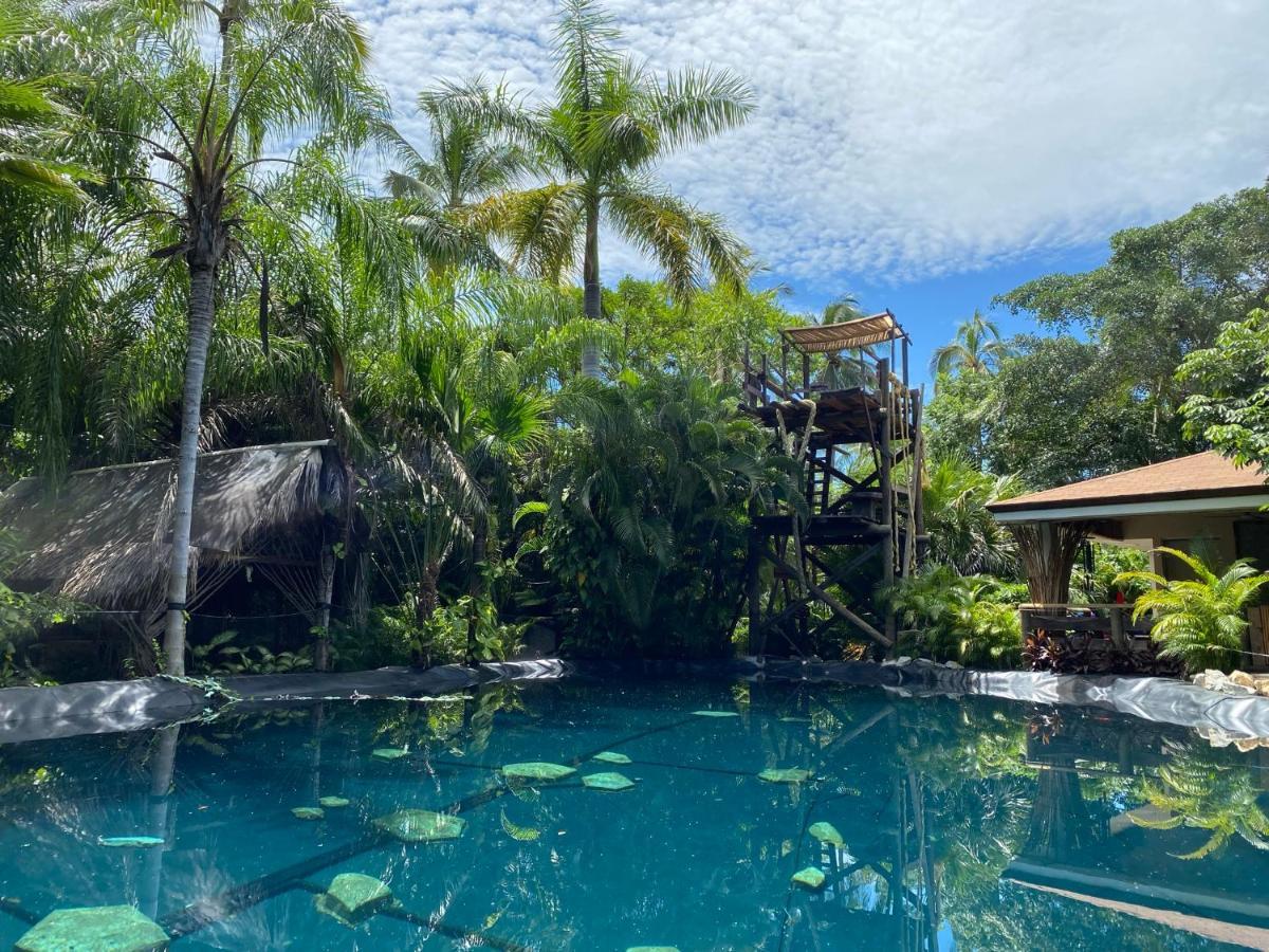 Jardin Secreto Centro Holistico Villa Acapulco Eksteriør bilde