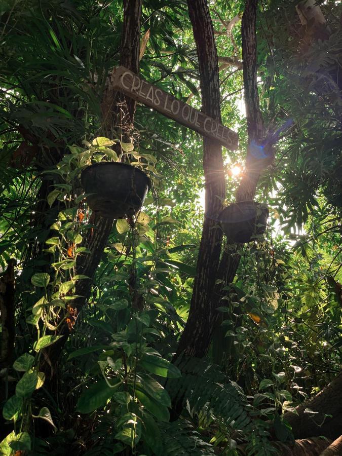 Jardin Secreto Centro Holistico Villa Acapulco Eksteriør bilde