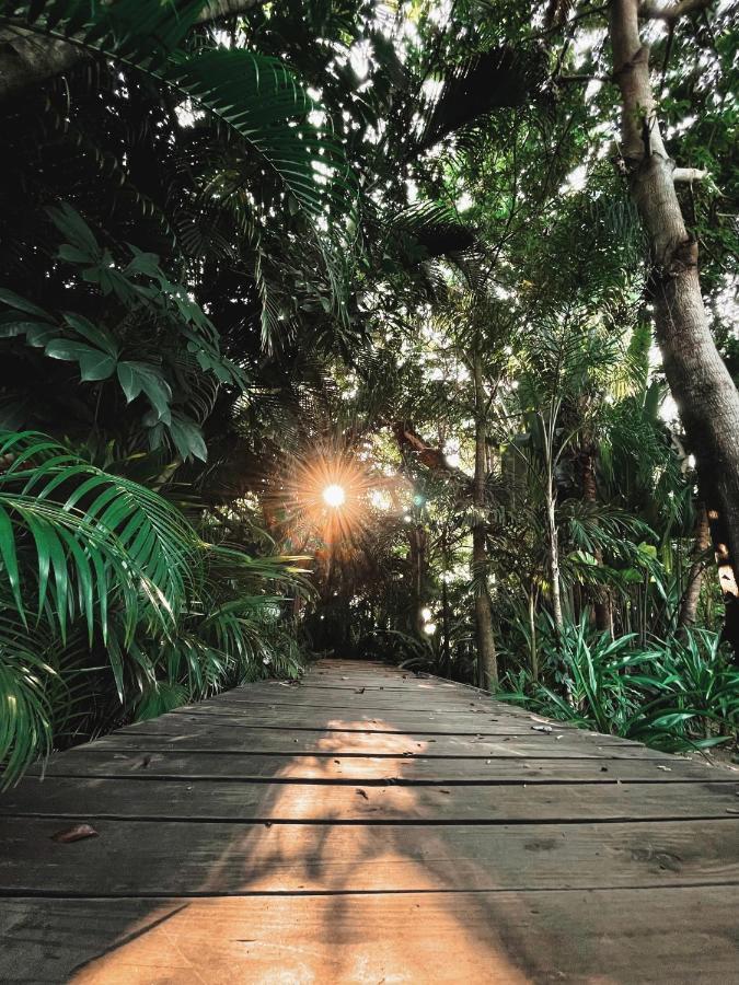 Jardin Secreto Centro Holistico Villa Acapulco Eksteriør bilde
