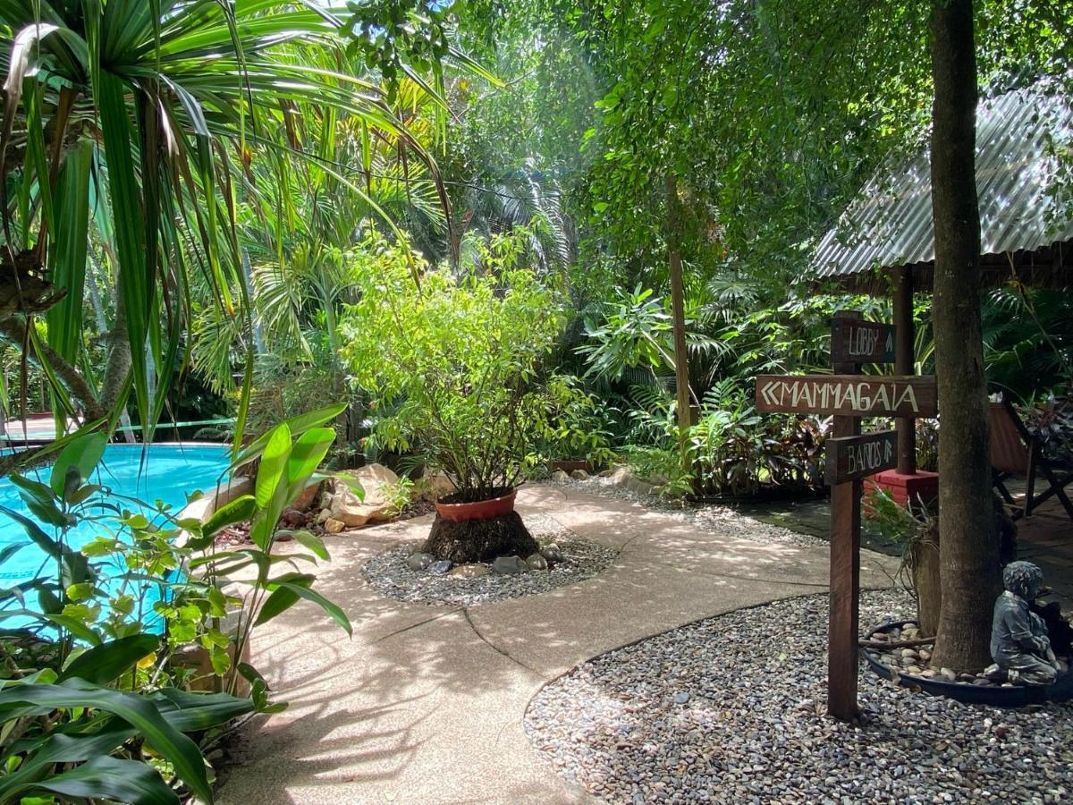 Jardin Secreto Centro Holistico Villa Acapulco Eksteriør bilde