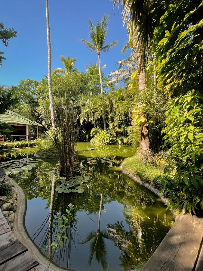 Jardin Secreto Centro Holistico Villa Acapulco Eksteriør bilde