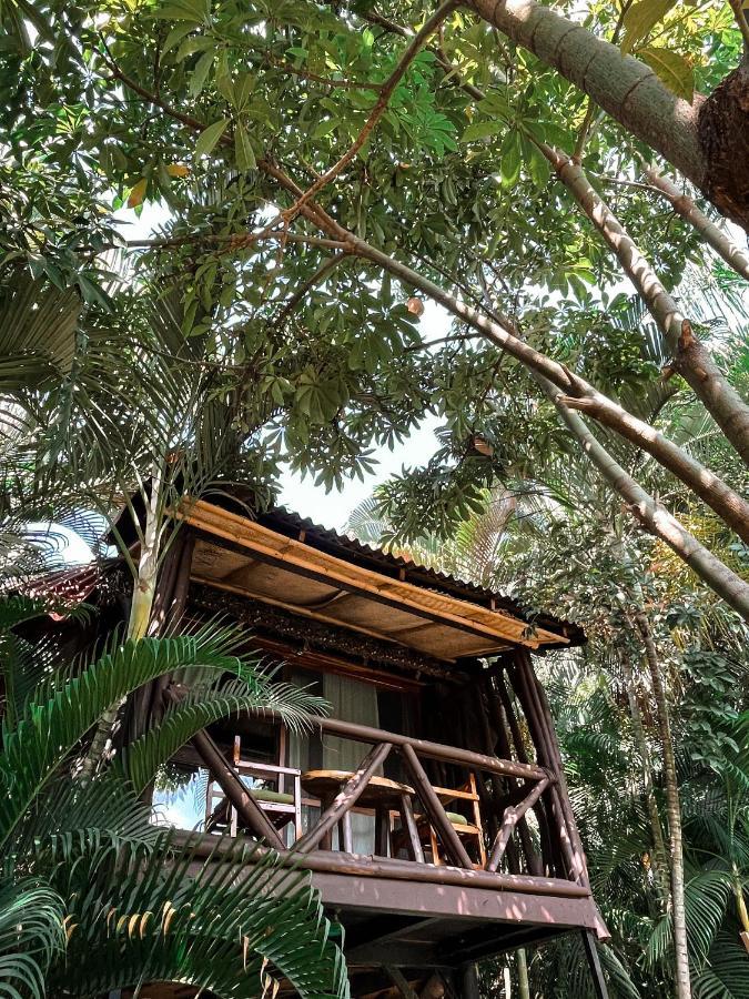 Jardin Secreto Centro Holistico Villa Acapulco Eksteriør bilde