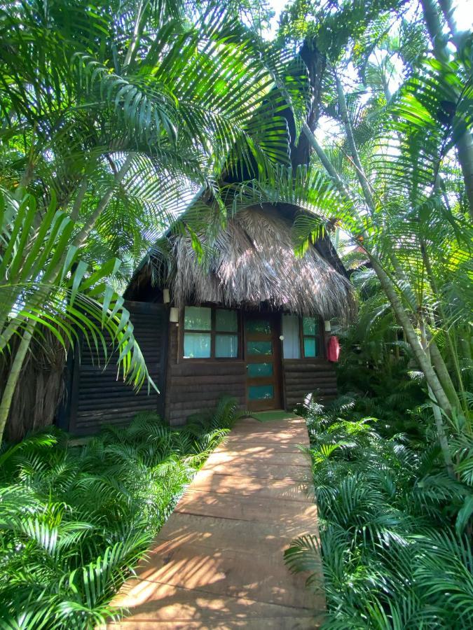 Jardin Secreto Centro Holistico Villa Acapulco Eksteriør bilde
